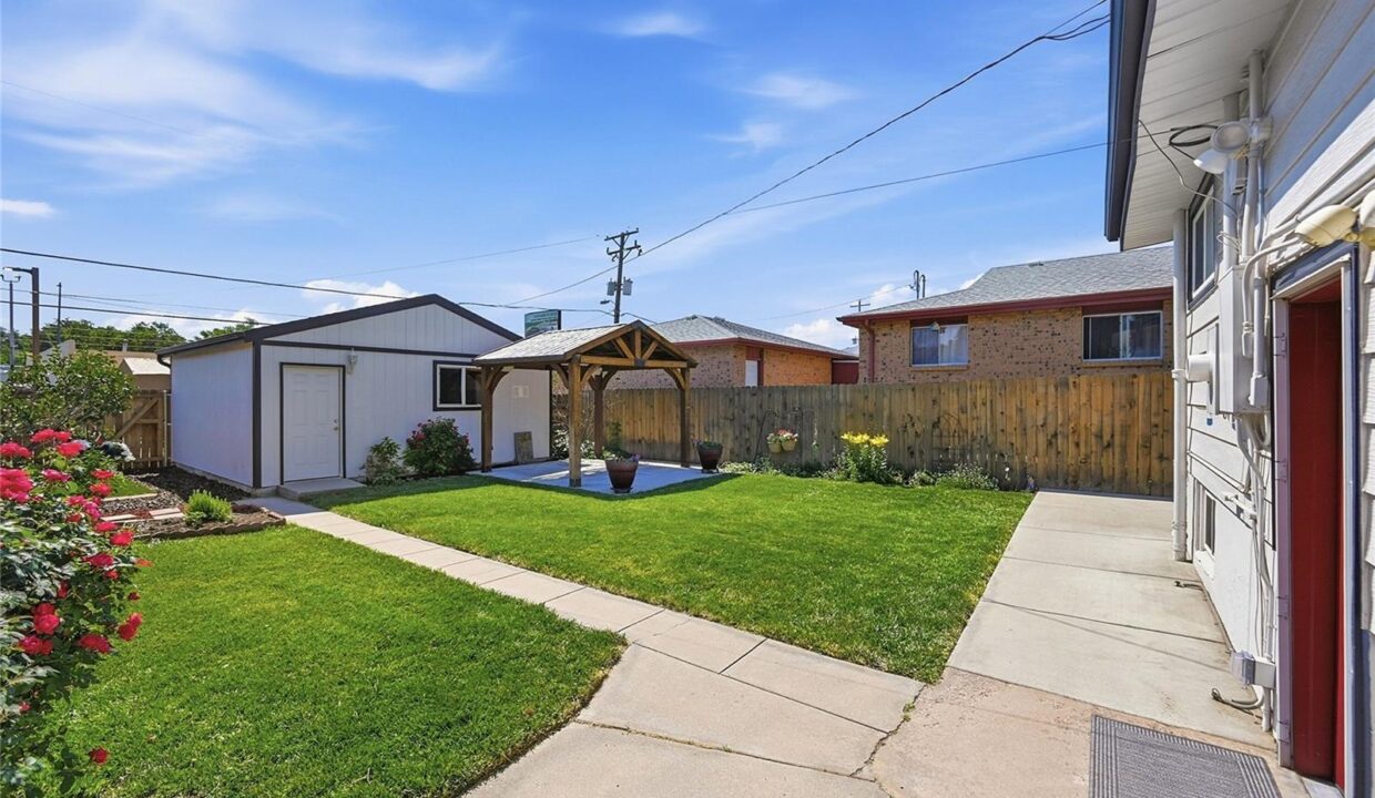Backyard 01