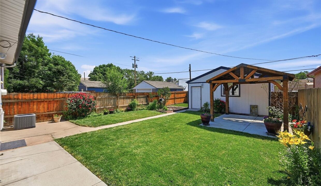 Backyard 02